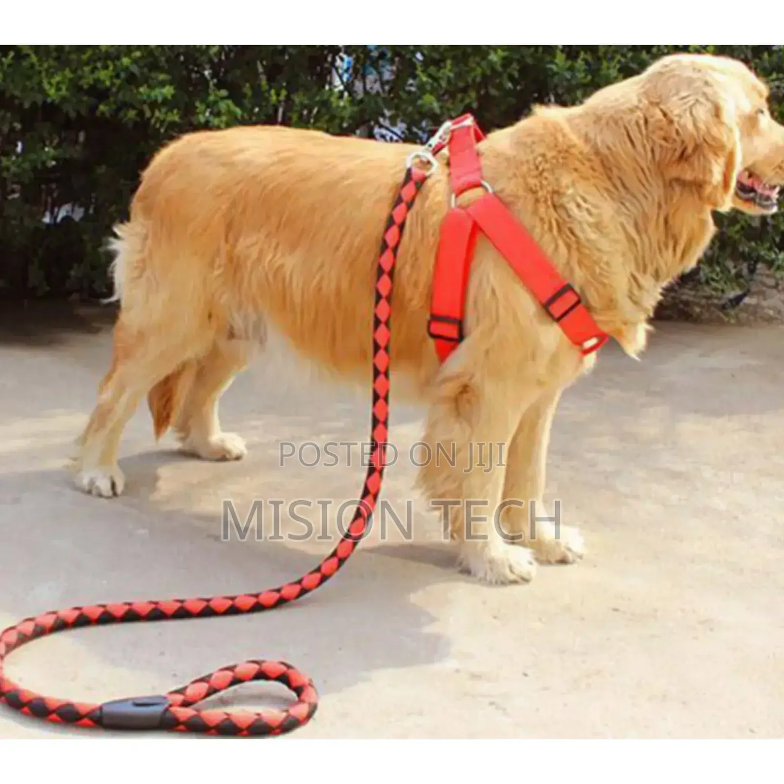 *Dog Leash / Harness *
 *