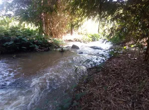 1 Acre With River Frontage Muthaiga North