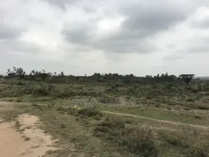 40 Acre Land Kenanie Lukenya