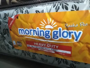 Longevity! 8inch 6 By 6 Quilted High Density Mattresses