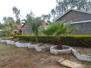 Developed Property for Sale in Siakago- Embu.