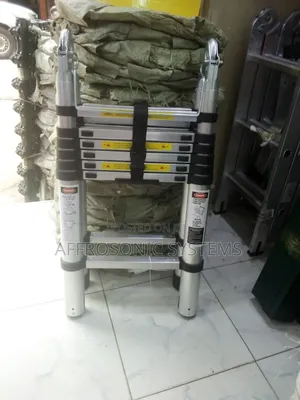 Double Telescopic Ladder