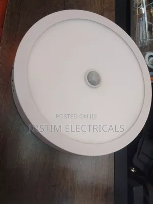 Wall Ceiling Light With Sensor