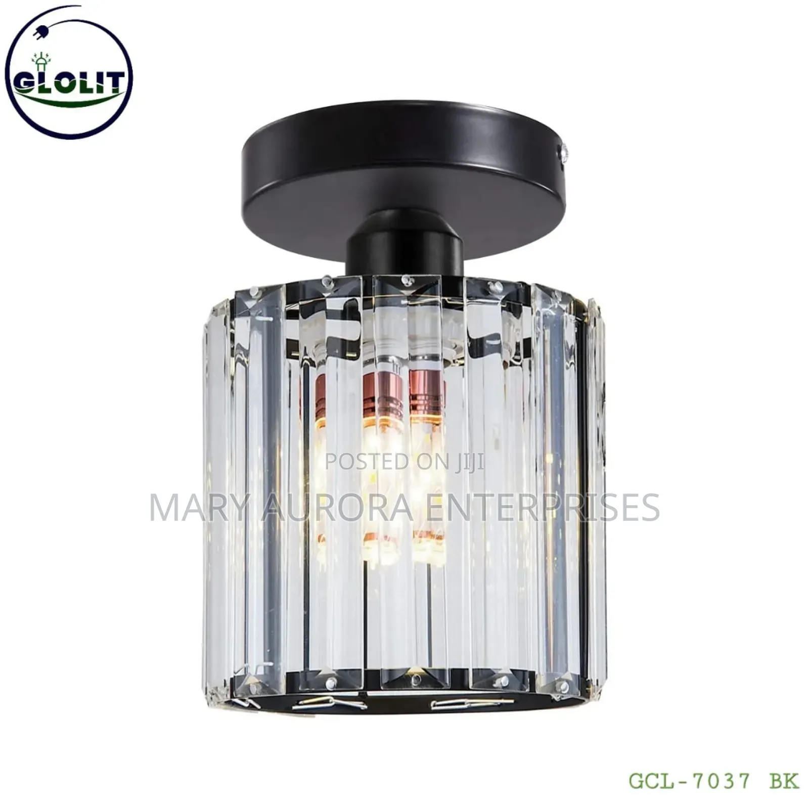 Wall Light/Pendant Light