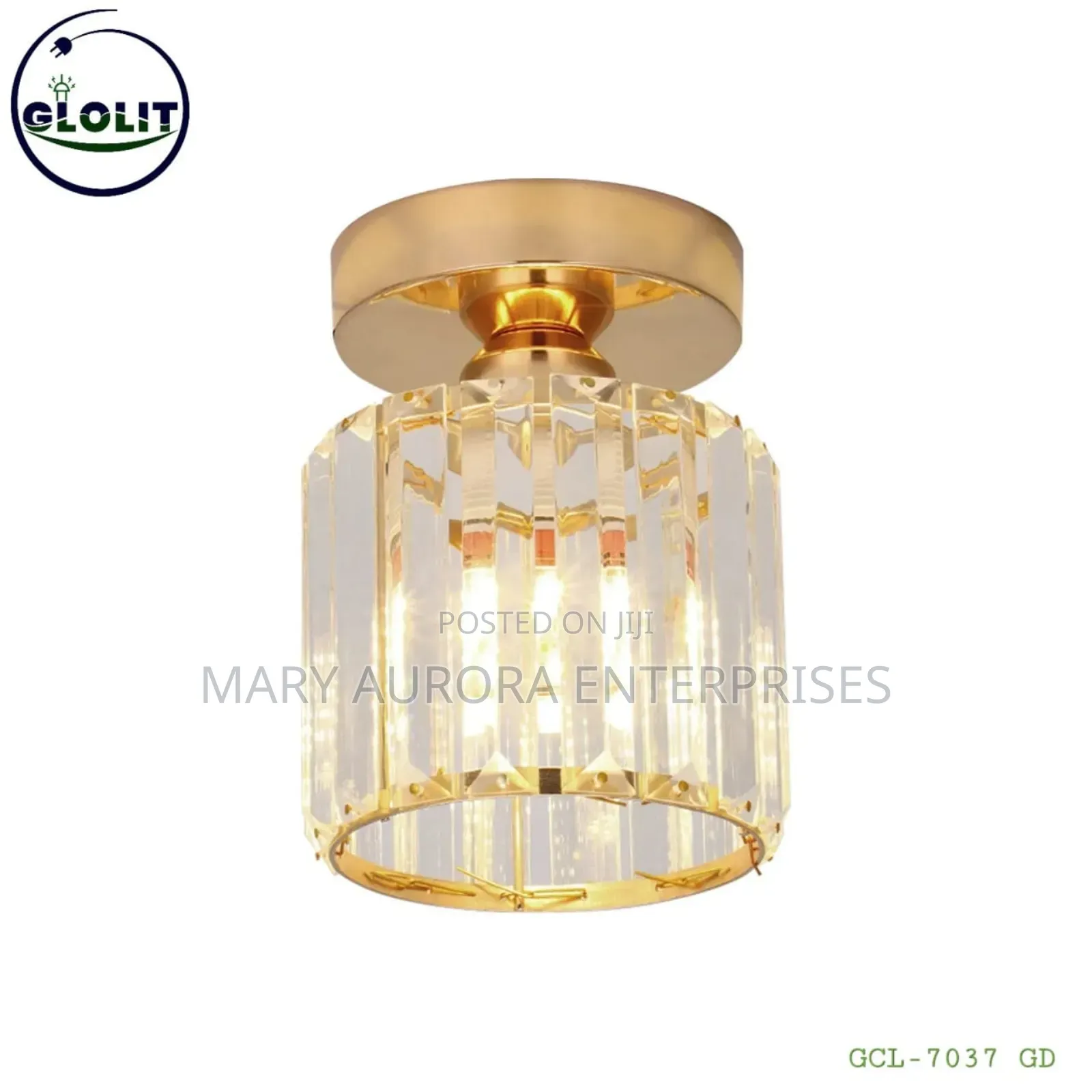 Wall Light/Pendant Light