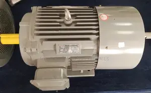 STCL Italy 50hp 3 Phase High Speed Electric Motor