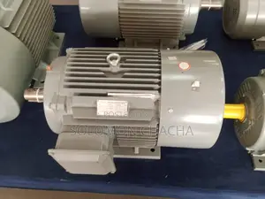 STCL Italy 60hp 3 Phase High Speed Electric Motor