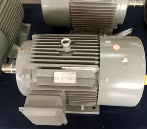 STCL Italy 60hp 3 Phase High Speed Electric Motor
