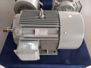 STCL Italy 75hp 3 Phase High Speed Electric Motor