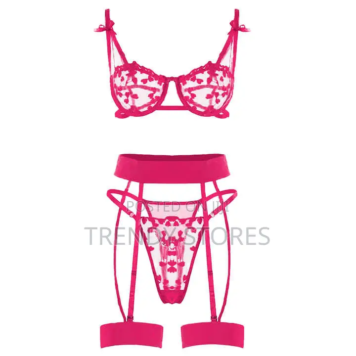 Sexy Lace Mesh Lingerie Set