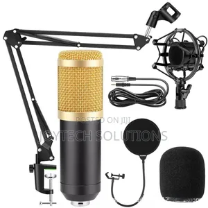 Professional Sound Card With Microphone Condenser Mic