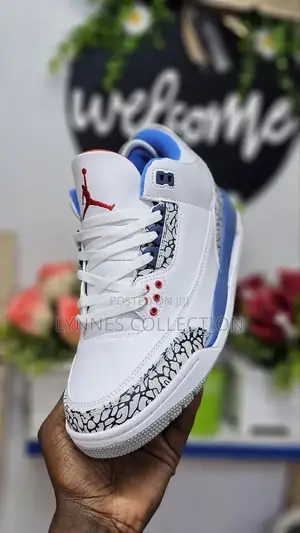 Air Jordan 3 Sneakers