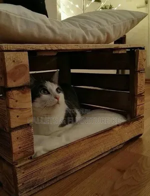 Cat House With Pillows