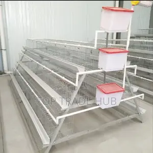 Galvanized 160 Layer Capacity Chicken Cages