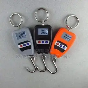 Crane Scale 200kg