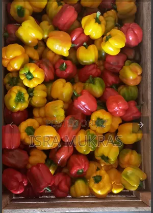Capsicums Red Yellow.