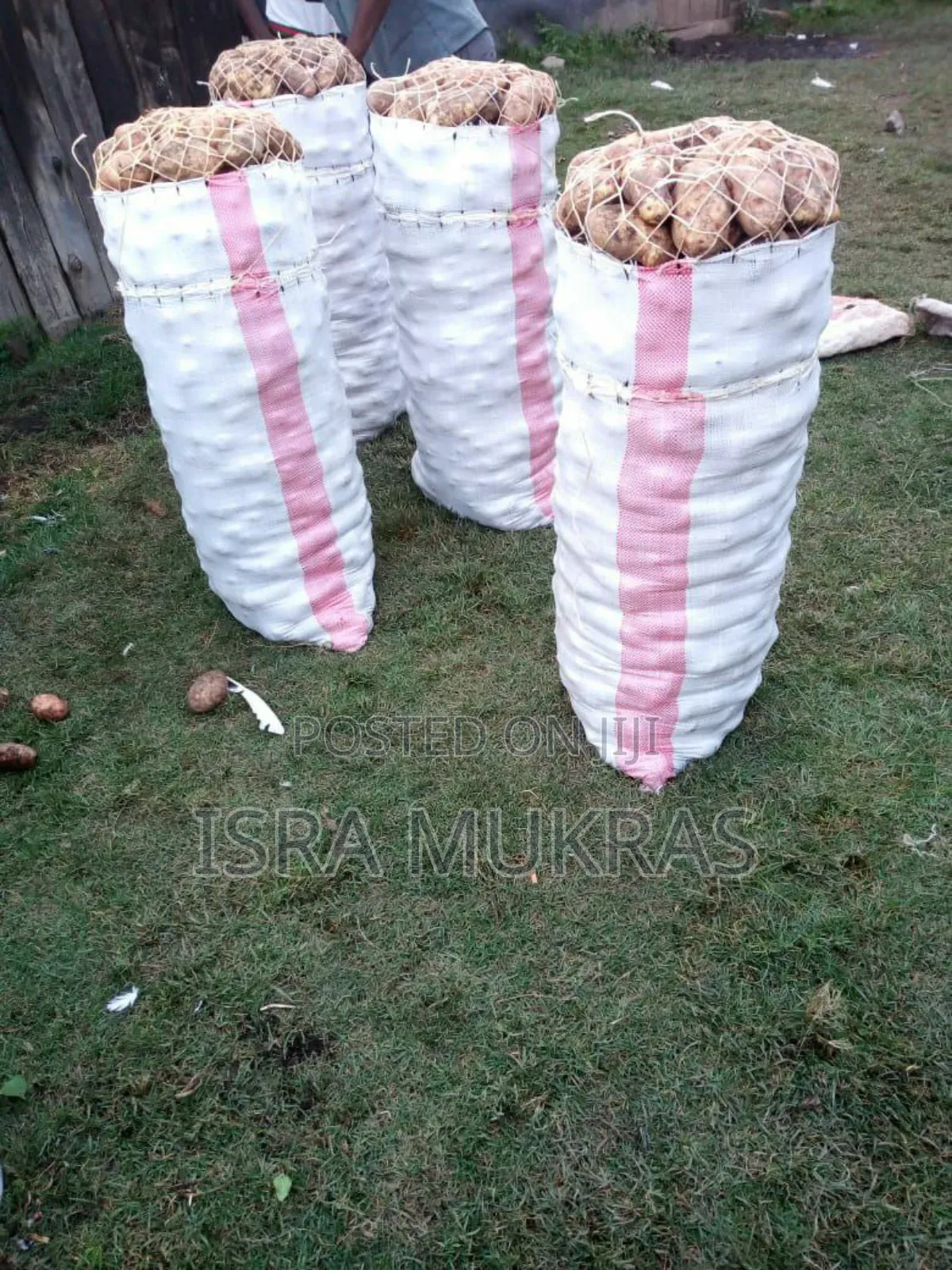 Shangi Potatoes