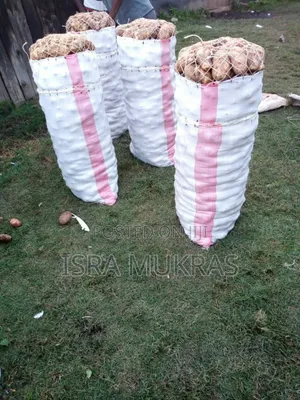 Shangi Potatoes