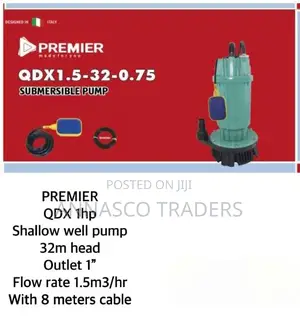 Premier 1HP 32M Lift Electric Submersible Water Pump 1 Inche