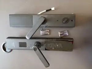 Remote Access Door Lock