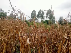 40 by 80 Plots on Sale at Kenol-Zabka