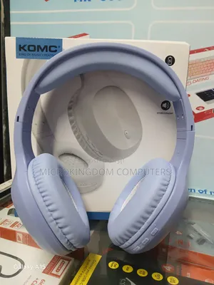B313 Wireless Headphones