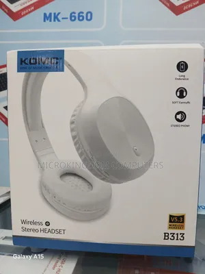 B313 Wireless Headphones