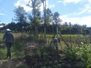 Prime Residential Plots for Sale, 50 by 100