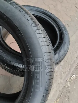 255/5019 Pirelli