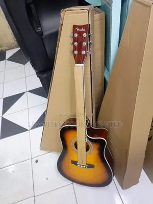 Fender Gold Semi Guitar