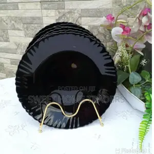 6 PCS 10.5" Plate