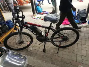Electric Bicycle
