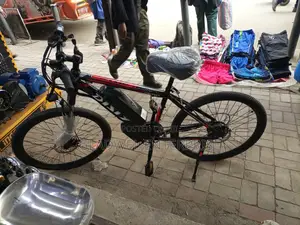 Electric Bicycle