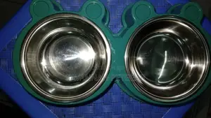 Dual Purpose Plastic Dog and Cat Food Bowl Stainless Steel