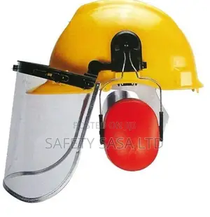 Safety Helmet With Face Shield And Earmuffs