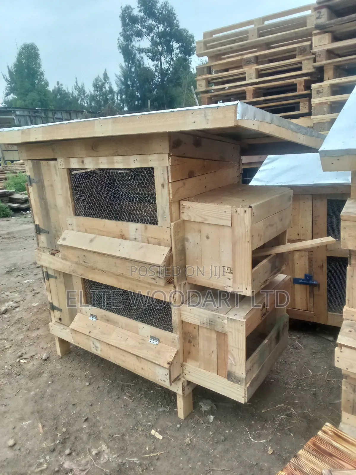 Chicken Coop/Cage