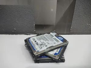 Western Digital 640gb 5400rpm Sata 3.0 Gbps 2.5 Inch