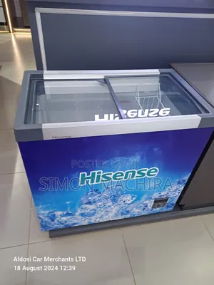 Hisense 297L Display Freezer.