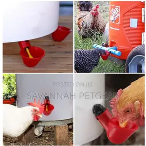 Red Plastic Backyard Water Feeder for Bird Quail Pigeon Duck