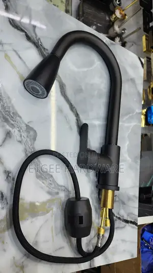 Pull-Out Black Kitchen Mixer