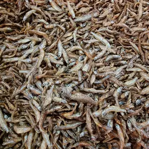 Omena Nommilled Packed in 50kgs Sacks
