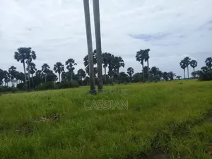 24 Acres Land With Title at Shimoni/Kidimu 950,000