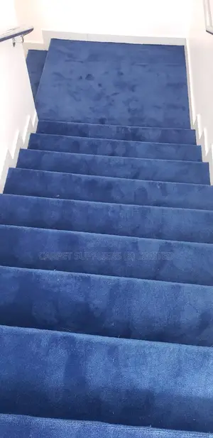 Blue Carpet (Wall to Wall )