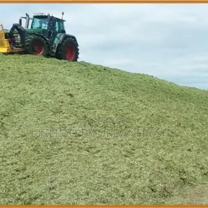 Maize,Corn,Pineaple Fattening Not Baled 10 Tonnes