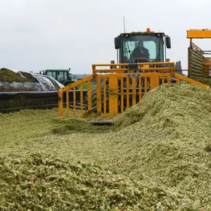 Pakchong Chopped Baled (10tonnes)