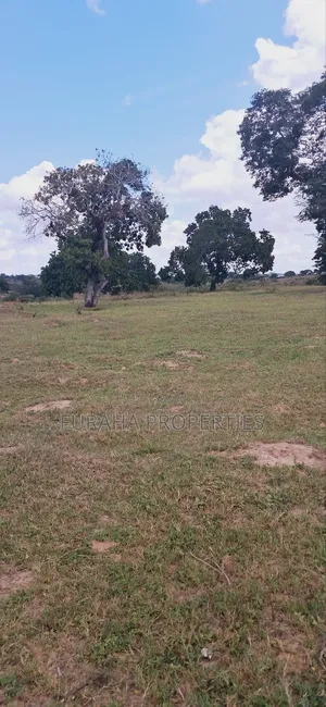 For Sale 1.1acre Land Dongo Kundu Bypass