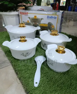 Balivia Designer Insulted Hot Pot Set of 4