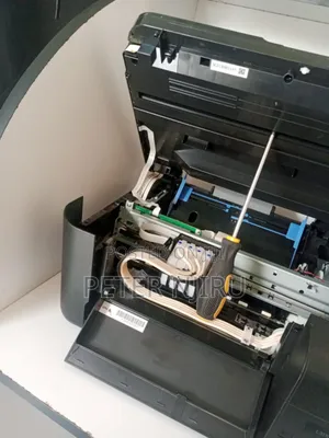 L3110/L3111/L3150 Epson Printers Service