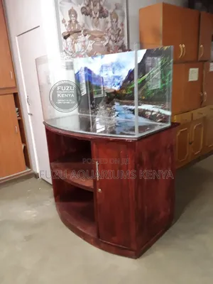 Curved Aquarium Customized