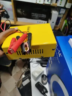 Bolaimei Car/Automotive Battery Charger